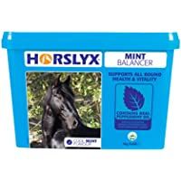 Los mejores  - Horslyx 5kg Mint Lick 5kg Azul